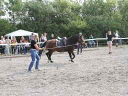 IMG_1356_web
